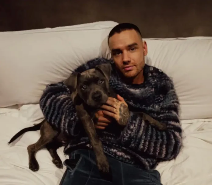LIAM PAYNE