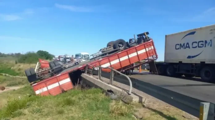 VACAS A LA PARRILLA TRAS VUELCO DEL CAMION EN LA RUTA 9