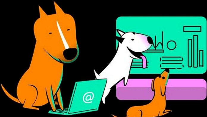 whyw8t-apuesta-por-la-inteligencia-artificial-en-argentina-con-verloop.io