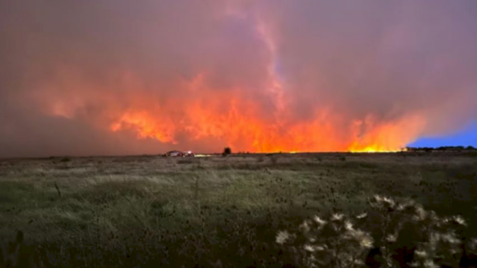 impactantes-imagenes-del-incendio-en-la-reserva-natural-de-punta-lara