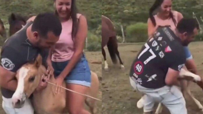 video:-una-joven-monto-un-potrillo-de-un-mes-y-causo-indignacion-en-redes