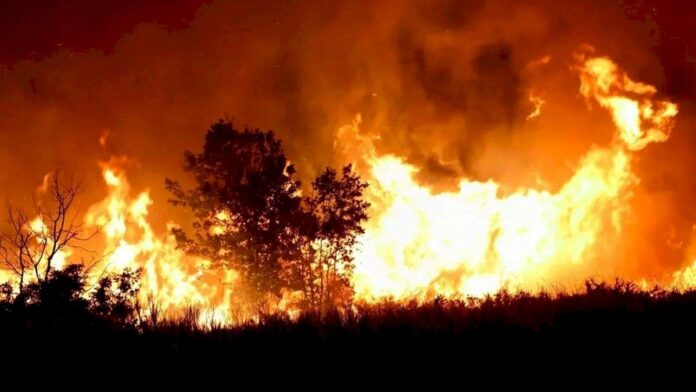 incendios-fuera-de-control-tambien-en-bariloche:-las-llamas-avanzan-y-ya-casi-alcanzan-viviendas