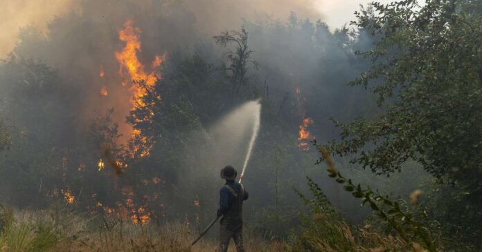 el-gobierno-anuncio-que-incluira-en-sesiones-extraordinarias-un-proyecto-para-agravar-las-penas-a-quienes-provoquen-incendios