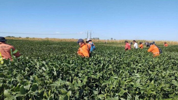 intensifican-la-busqueda-de-lian-en-cordoba:-secuestraron-una-camioneta-y-tres-celulares