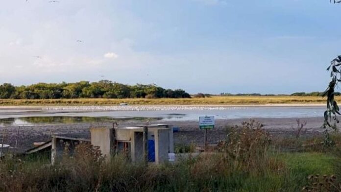 se-seca-la-laguna-los-horcones-en-madariaga