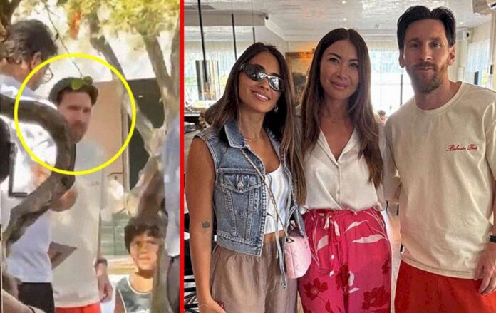 la-mascota-que-enloquece-a-lionel-messi-y-antonela-roccuzzo-en-su-casa-de-miami