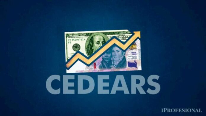 el-cedear-que-puede-subir-hasta-80%-en-un-ano-y-es-recomendado-por-un-experto-en-inversiones