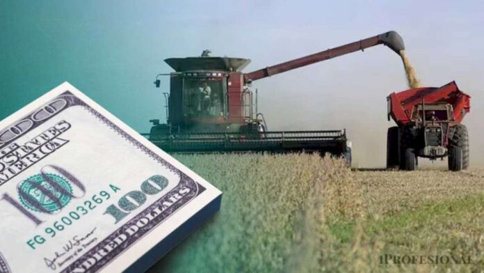 en-busca-de-dolares,-el-gobierno-extiende-la-baja-de-retenciones-para-la-cosecha-fina